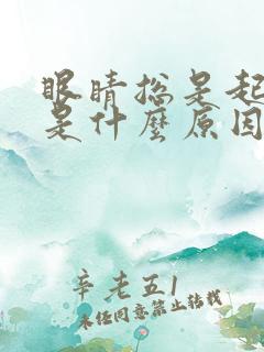 眼睛总是起眼屎是什么原因