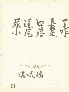 尿道口长了几个小疙瘩是咋回事