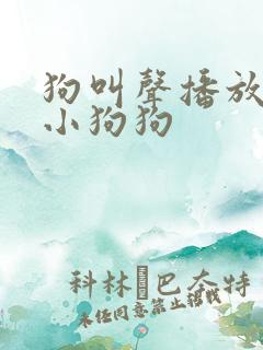 狗叫声播放吸引小狗狗