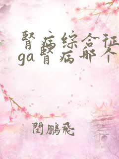 肾病综合征和iga肾病哪个更严重