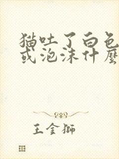 猫吐了白色黏液或泡沫什么原因