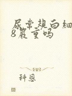 尿常规白细胞28严重吗