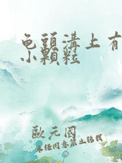 龟头沟上有一圈小颗粒