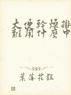 大便干燥排便困难用什么中药