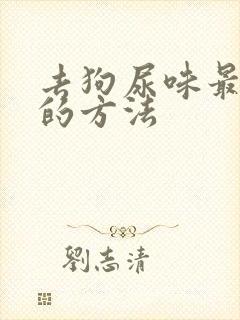 去狗尿味最有效的方法