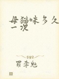 母猫咪多久发情一次