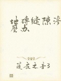 地砖缝隙渗水怎么办