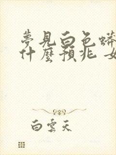 梦见白色蟒蛇是什么预兆 女性解梦