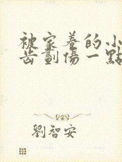 被家养的小狗牙齿划伤一点皮出血有事吗