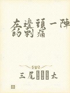 左边头一阵一阵的刺痛