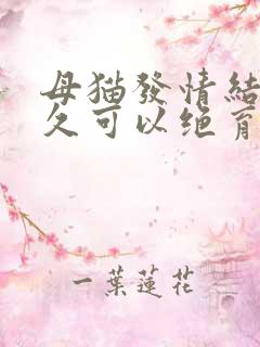 母猫发情结束多久可以绝育呢