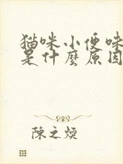 猫咪小便味道重是什么原因