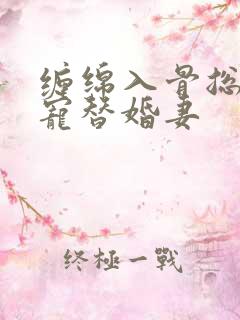 缠绵入骨总裁独宠替婚妻