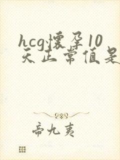 hcg怀孕10天正常值是多少
