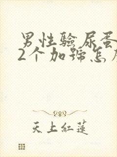 男性验尿蛋白质2个加号怎么回事