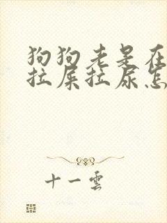 狗狗老是在家里拉屎拉尿怎么办