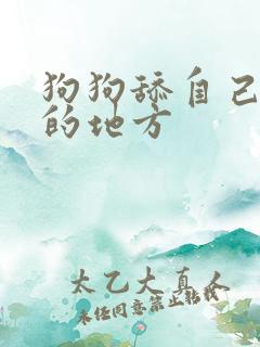 狗狗舔自己尿尿的地方