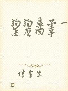 狗狗鼻子一直干怎么回事