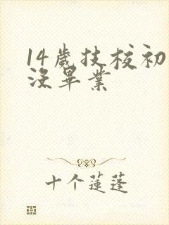 14岁技校初中没毕业