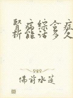 肾病综合症做透析能活多久