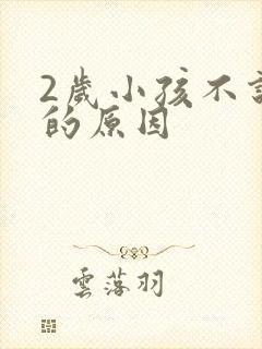 2岁小孩不说话的原因