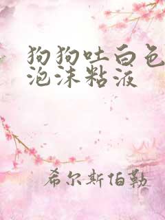 狗狗吐白色黄色泡沫粘液