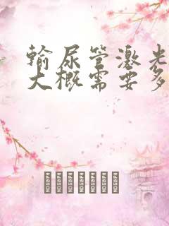 输尿管激光碎石大概需要多少钱