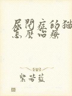 尿闭症的猫在家怎么治疗