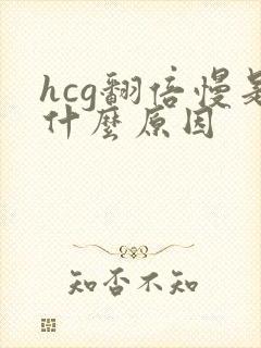 hcg翻倍慢是什么原因