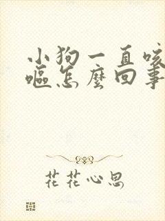 小狗一直咳嗽干呕怎么回事