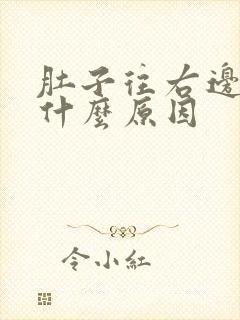 肚子往右边疼是什么原因