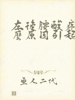 左后腰酸疼是什么原因引起的