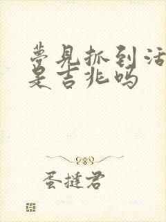 梦见抓到活兔子是吉兆吗