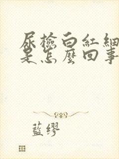 尿检白红细胞高是怎么回事