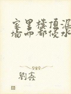 家里楼顶漏水,墙面都侵水