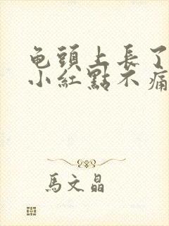 龟头上长了好多小红点不痛不痒