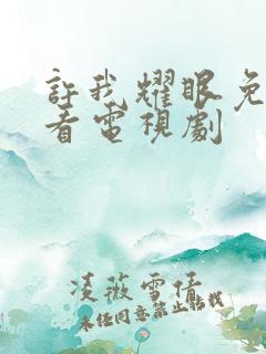 许我耀眼免费观看电视剧