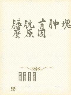 膀胱有肿块是什么原因