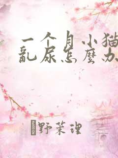 一个月小猫乱拉乱尿怎么办