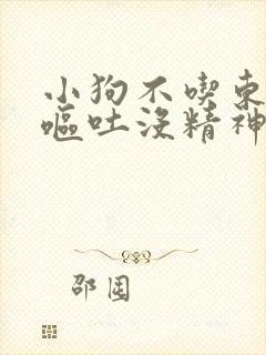 小狗不吃东西还呕吐没精神吃什么药