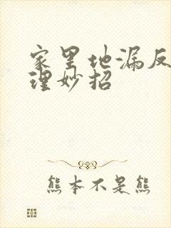 家里地漏反味处理妙招