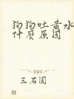 狗狗吐黄水水是什么原因