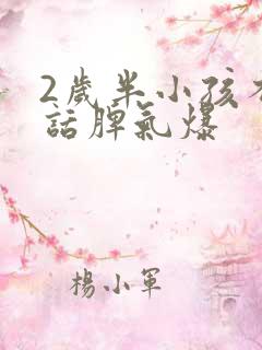 2岁半小孩不说话脾气爆