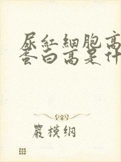 尿红细胞高和尿蛋白高是什么原因