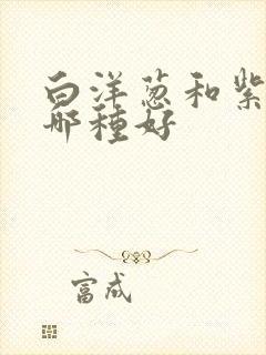 白洋葱和紫洋葱哪种好