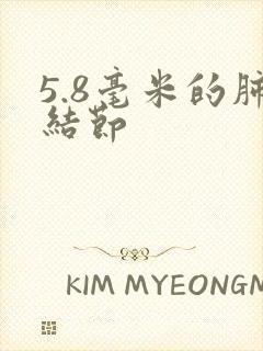 5.8毫米的肺结节