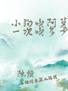 小狗吃阿莫西林一次吃多少