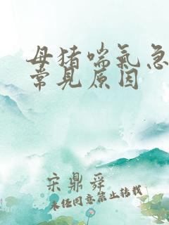 母猪喘气急促的常见原因