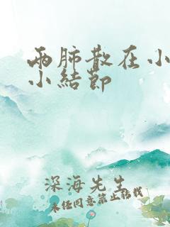两肺散在小/微小结节