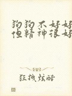 狗狗不好好吃饭但精神很好